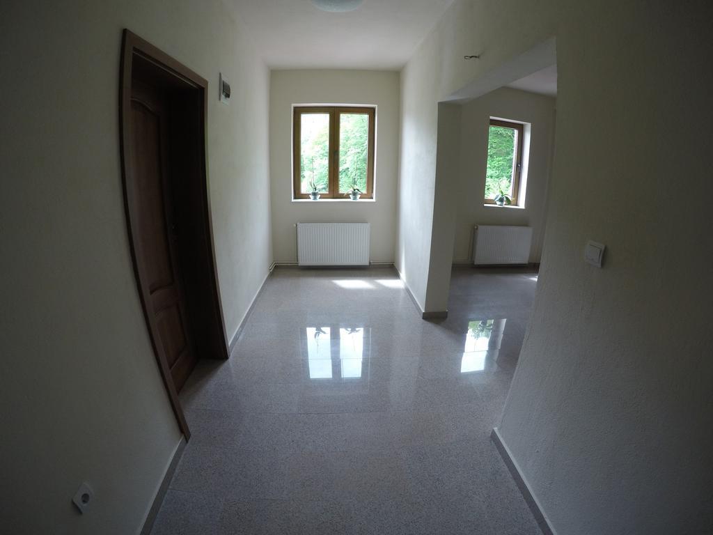 Pensiune Marginimea Sibiului Orlat Luaran gambar